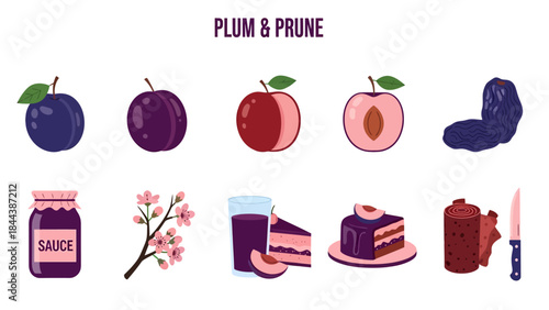 Illustration of plums prunes and plumbased products arranged in two rows