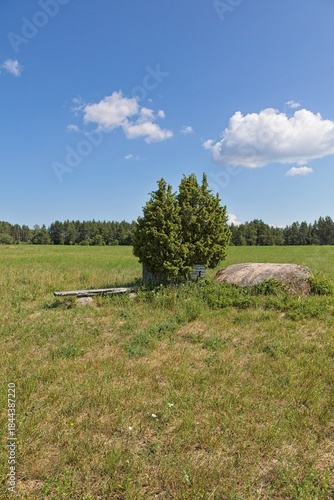 View of Aljava Ukukivi (Offering stone of Uku) boulder with juniper tree beside it in a grassy field, surrounded by low-lying vegetation and a backdrop of a forest line in sunny summer weather with cl