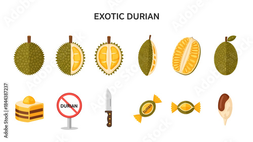 Illustrations of whole cut and processed durian fruits and related items