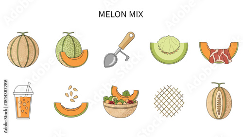 Melon mix illustrations featuring whole melons slices juice seeds and a melon baller
