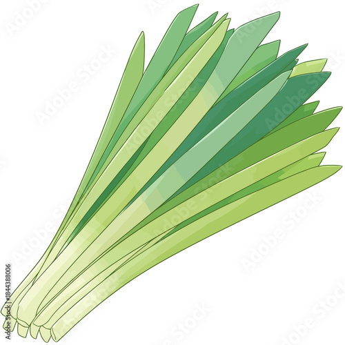 Fresh green leeks on white background isolated for culinary and design