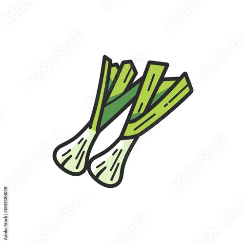 Fresh leeks illustration isolated on white background for culinary design