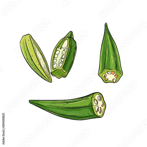 Fresh okra vegetables illustration isolated on white background