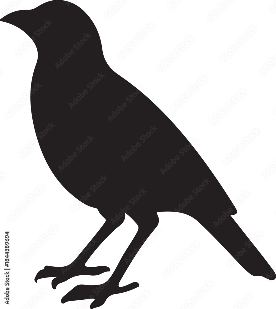 Fototapeta premium Crow bird Icon – Vector Illustration