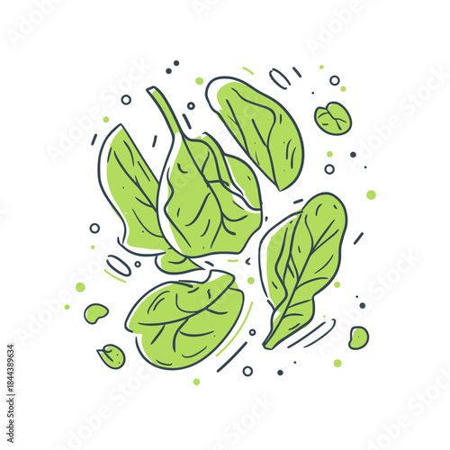 Fresh spinach leaves illustration on white background design element