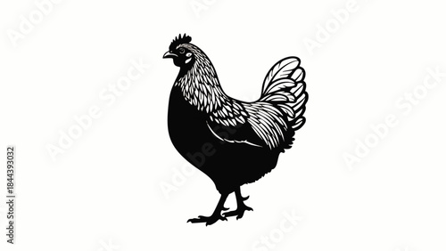 Black Silhouette of a Rooster Standing.