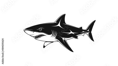 Black and White Shark Illustration.