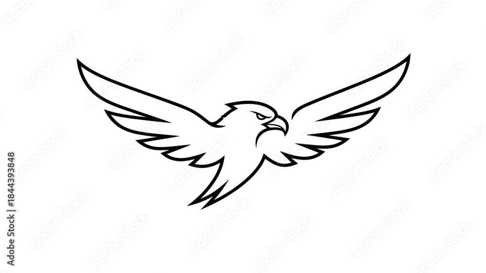 Fototapeta premium Black and White Eagle Illustration Flying.