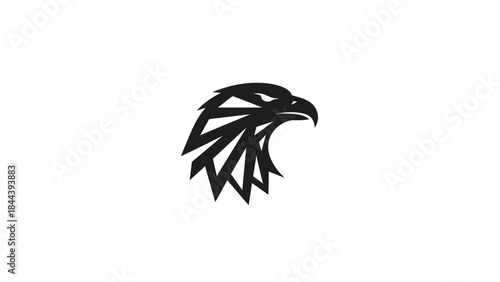 Black Eagle Head Logo Design Element.