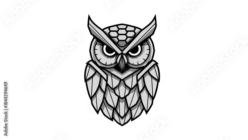 Detailed Black and White Owl Illustration.