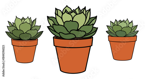 Three potted succulent plants illustrated in varying sizes against a stark black background for decor
