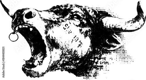Bull head roaring in monochrome vector illustration. Vintage graphic with detailed features, isolated set for versatile use.
