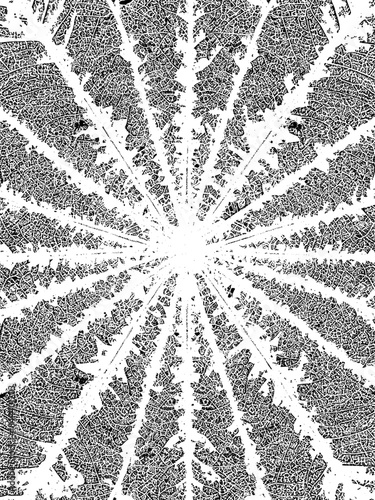 Detailed macro black and white symmetrical radial pattern derived from intricate organic leaf vein structure creating a mesmerizing biological network texture background