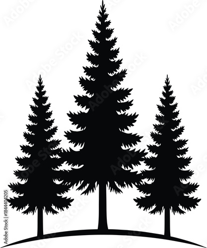 Silhouette of three evergreen trees against a plain white background