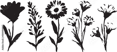 Black and white floral botanical illustration. Simple and elegant set of flower outlines for decor or art use vector.