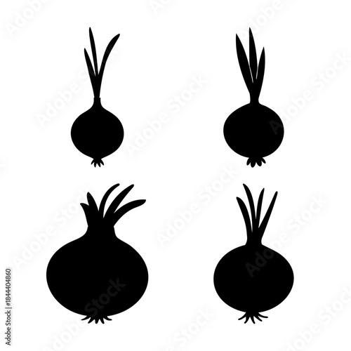 Stylized onion vegetable silhouettes with sprouts graphic