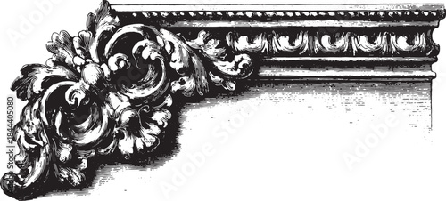 Decorative ornamentation in floral design. Elaborate details highlight historical elegance in a vector illustration.