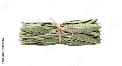 A bundle of dried sage leaves tied together with twine, a fragrant herb for culinary and medicinal uses, of transparent