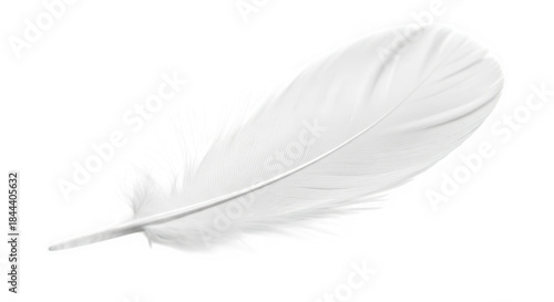 A single white feather of transparent