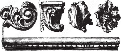 Decorative elements including floral and classical designs. Elegant vector illustration showcasing architectural details in black and white.