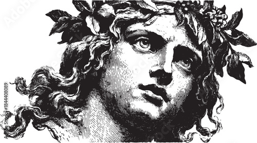 Classical bust illustration in vintage style. Detailed black and white vector representation with ornamental foliage and elegant facial features.