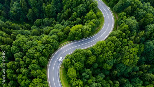 Aerial view of winding forest road with white car driving through lush green trees