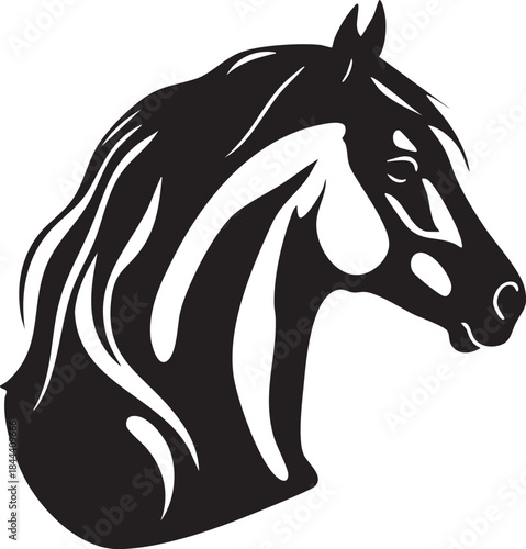 Tête de Cheval en Silhouette