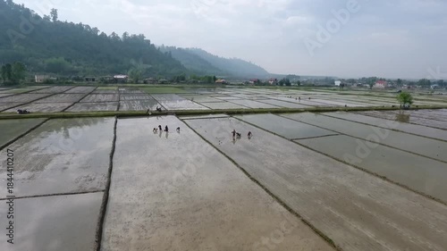 drone view of farming on field