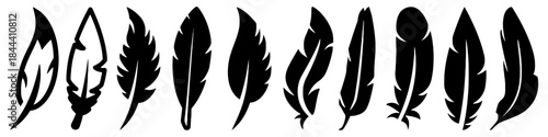 Feather silhouette set of different shapes and sizes of bird feathers flying lightweight plume quill drawing design decoration
