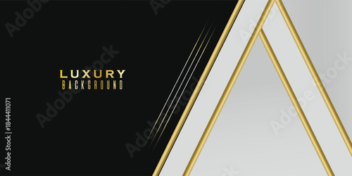 Elegant abstract background. Realistic luxury paper cut style 3D modern concept. eps10