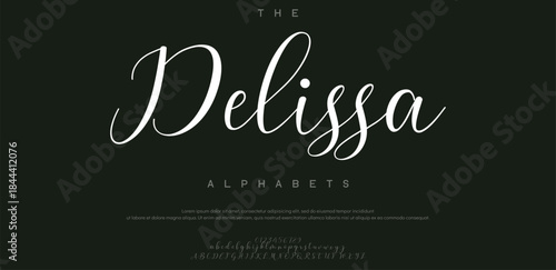 modern stylish capital alphabet letter logo design
