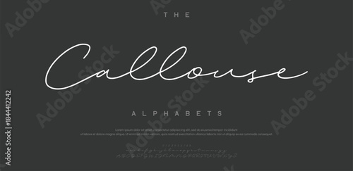 modern stylish capital alphabet letter logo design