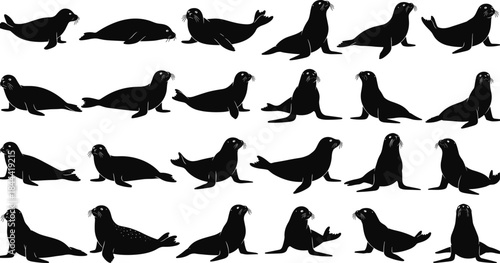 Sea lion silhouette set in multiple poses, marine animal wildlife illustration isolated on white background for nature design