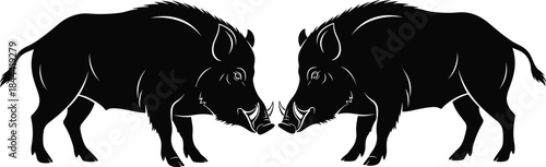 Wild boar silhouette illustration of two facing animals, aggressive forest wildlife design isolated on white background for logo use