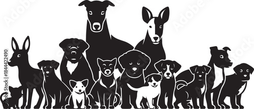 Diverse group of dogs in silhouette