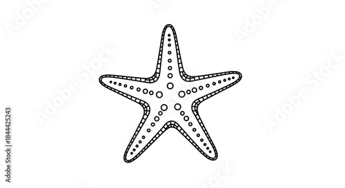 Delicate line drawing of a starfish with five slender arms decorated by dot patterns to emphasize a coastal sea life motif.