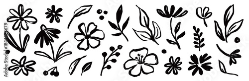 Hand drawn floral and leaves flowers botanical