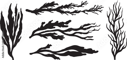 Black seaweed illustrations in silhouette style. Isolated vector graphics represent aquatic plants in a set.