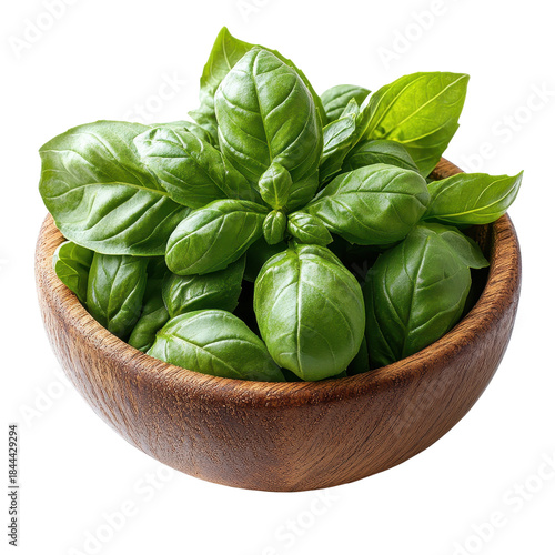 fresh basil leaves in wooden bowl isolated on a white background