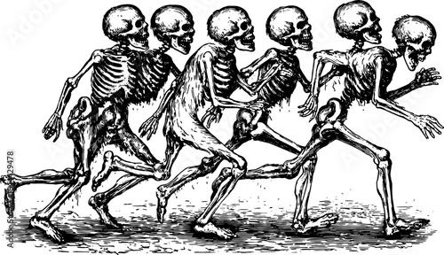 Skeletons in motion depicted in engraving style. This vintage vector illustration showcases dynamic movement in a festive set.