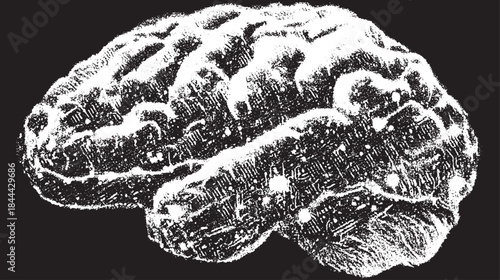 Human brain vector illustration with unique texture on a black background. Detailed and simple design, ideal for educational purposes.