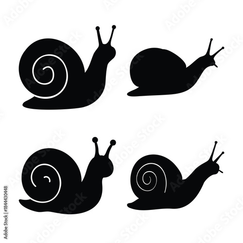 Snail silhouettes set: diverse mollusk icons in black graphic