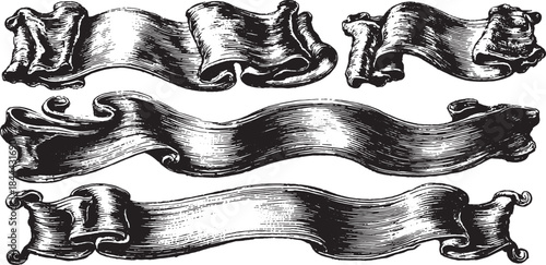 Abstract ribbon banner set in black and white. Classic vector illustration with smooth texture and elegant curves for graphic use.