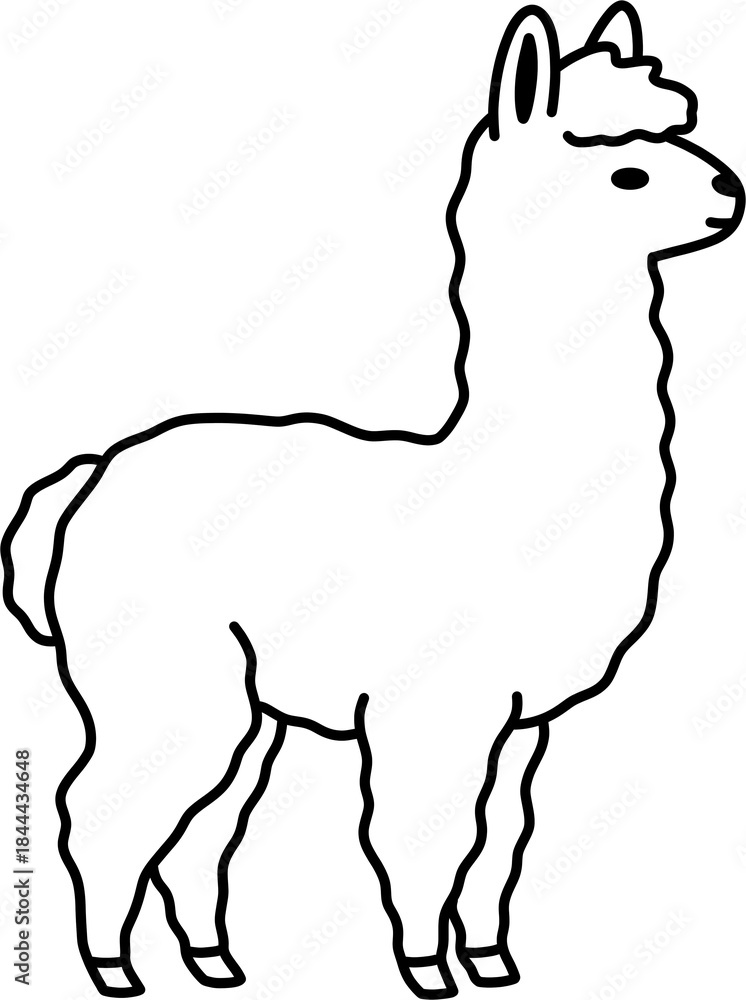 Obraz premium 알파카 흑백
