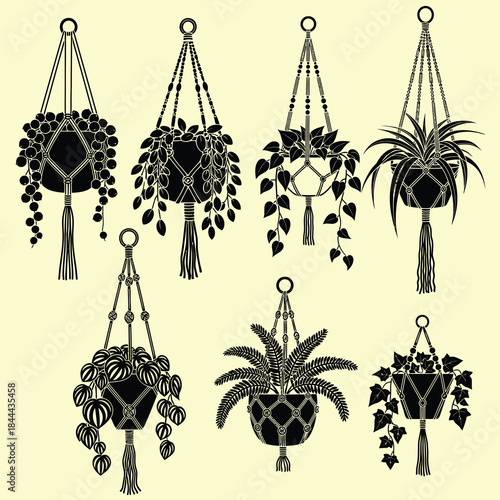 Set of six black silhouette macrame hanging planters with diverse houseplants featuring intricate knot patterns