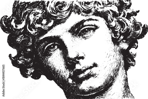 Vintage head illustration featuring a detailed face with curly hair. This black and white engraving displays a classic style in vector format.