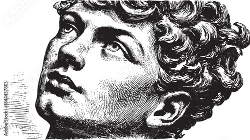 Classic portrait head illustration in black and white. Detailed line art illustration with elegant hair texture and expressive facial features, a vector graphic.