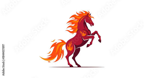 horse vector illustration