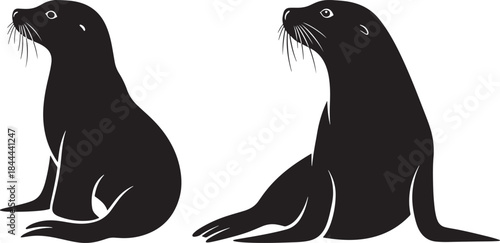 Two seals sitting side by side silhouette