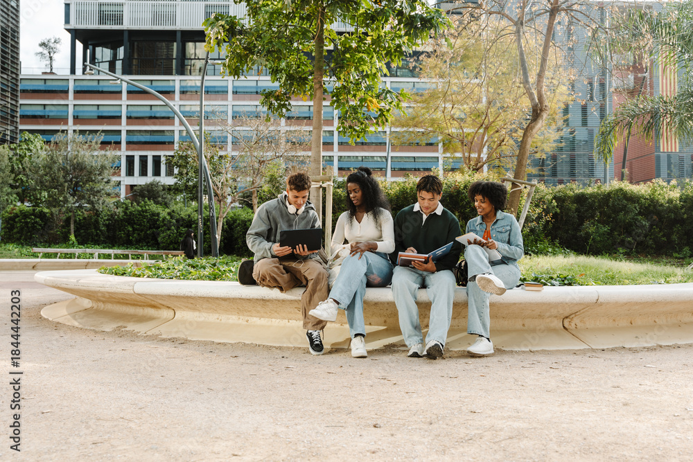 Obraz premium A group of four students are sitting and talking while two of them are looking at a laptop and two are looking at a notebook